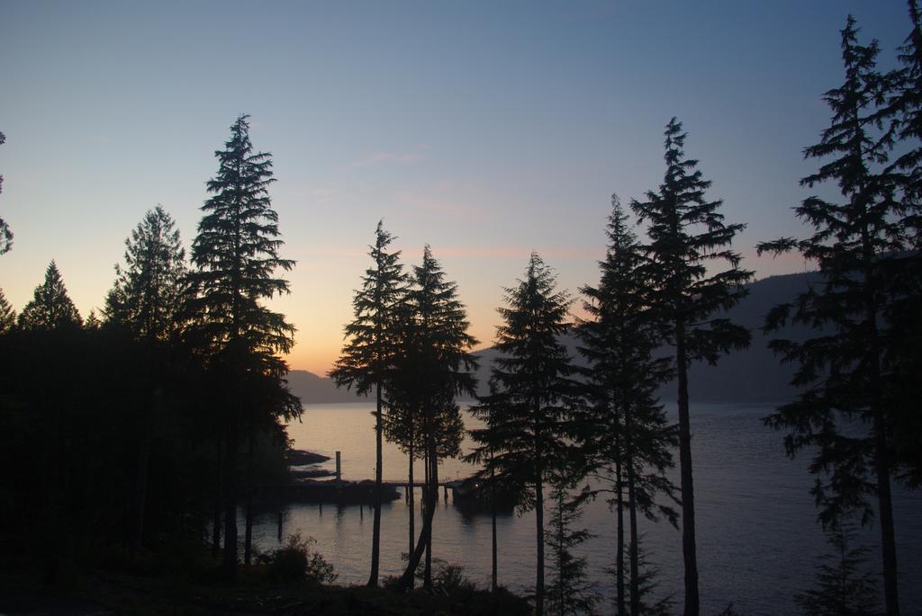 Wild Coast Chalets Port Renfrew Zewnętrze zdjęcie